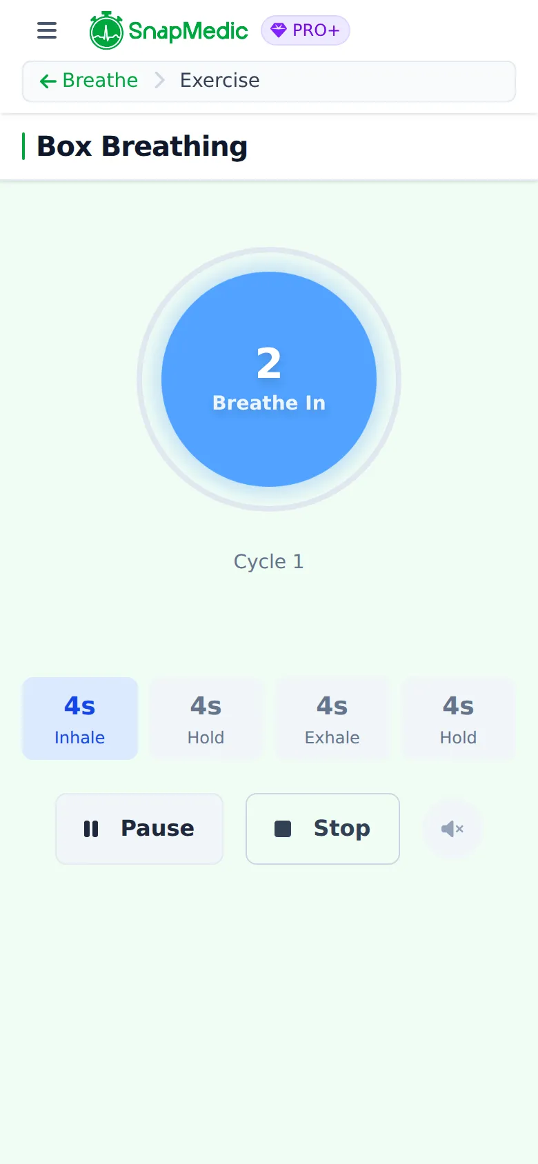 Box breathing exercise in progress with an animated breathing ring