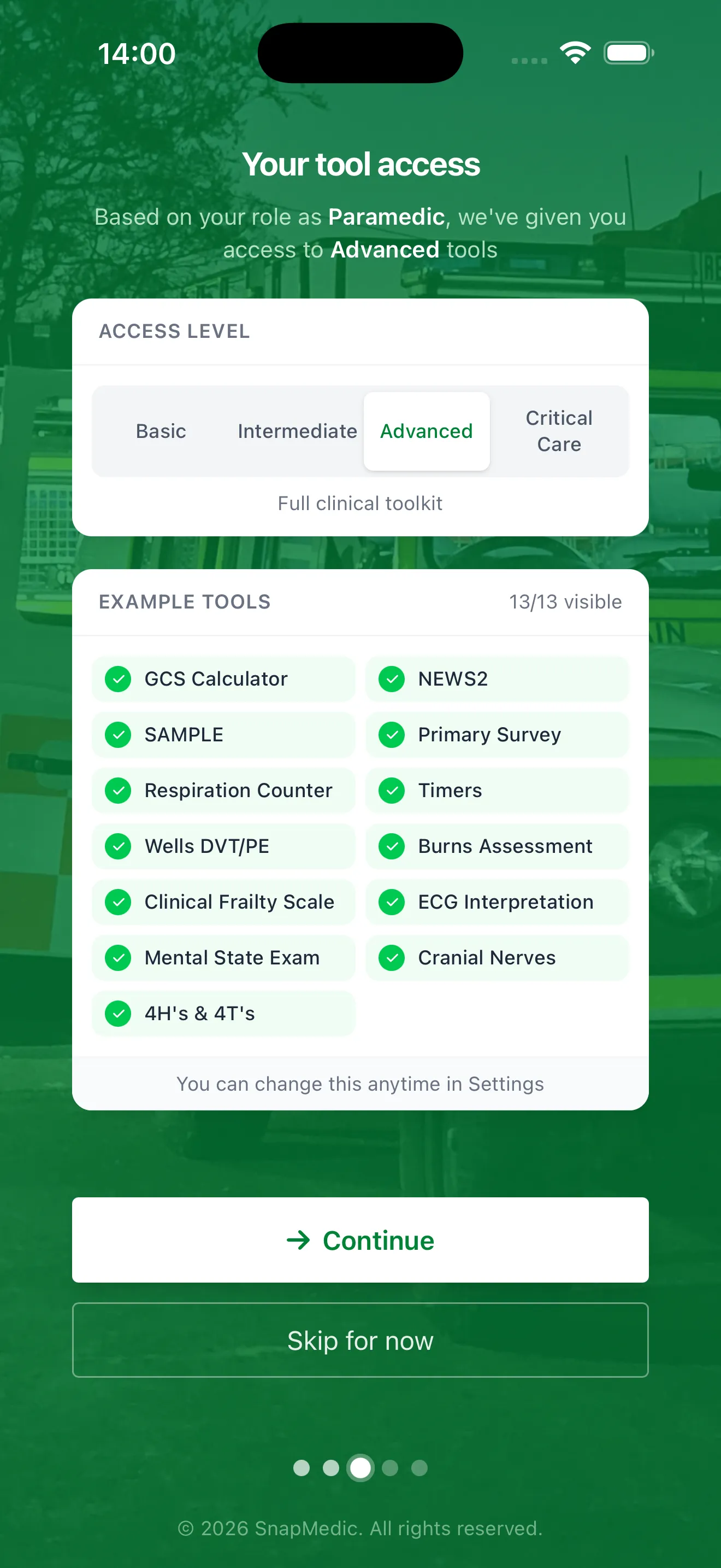 Role Access Settings