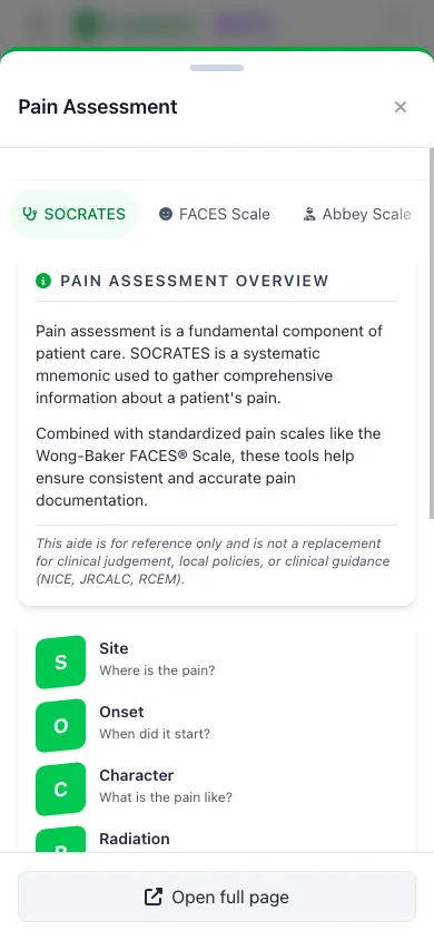 SnapMedic EPCR documentation page with inline pain assessment scoring for paramedics
